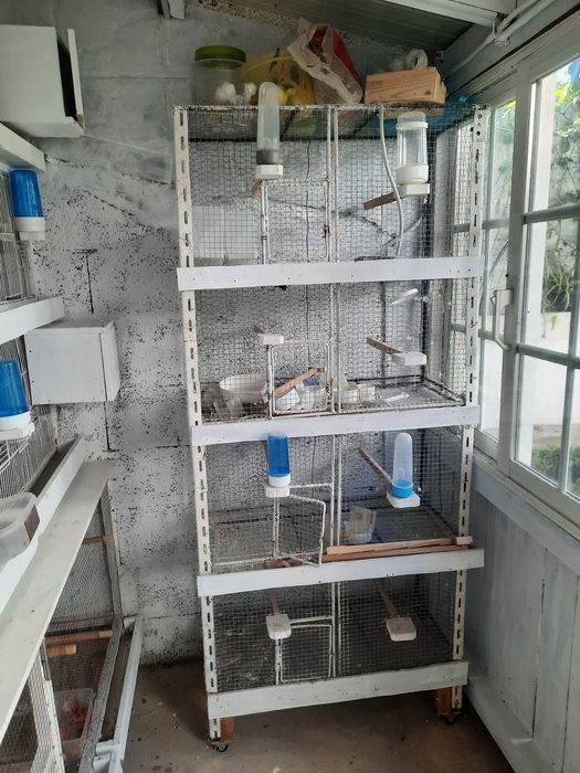 Viveiro grande para aves. Tem tabuleiros de limpar
