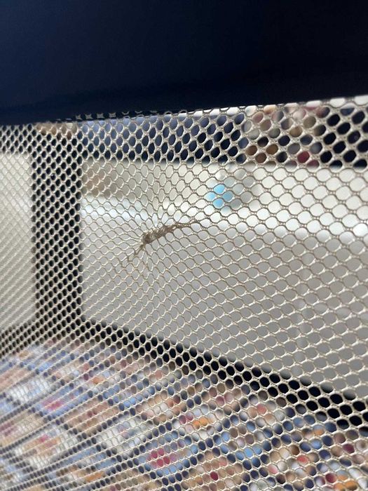 Artigos de bébé conjunto