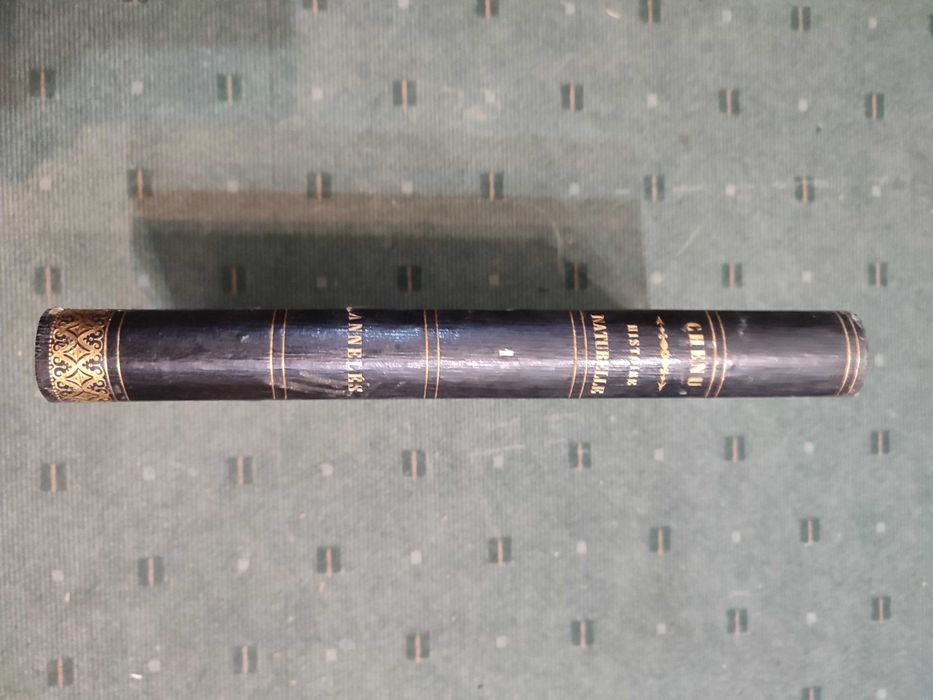 Encyclopédie D'Histoire Naturelle Traité Complet Cette Science-Annelés