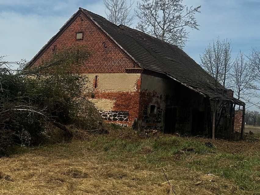 Działka Dolina Baryczy - Widok 4