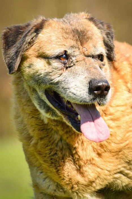 Ciekawska i pogodna Zosia