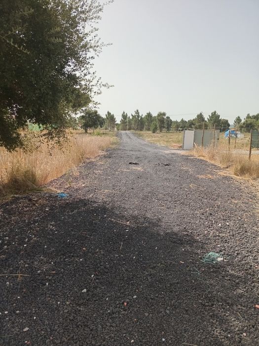 Lotes em augi, 7mil euros de entrada