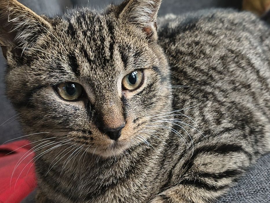 Może skradnie Twoje serce