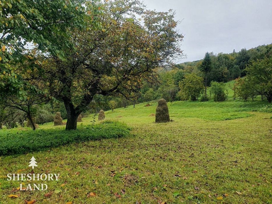 Будинки та земельні  ділянки в Шешорах