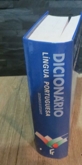 Dicionário Língua Portuguesa - Dicionários do estudante