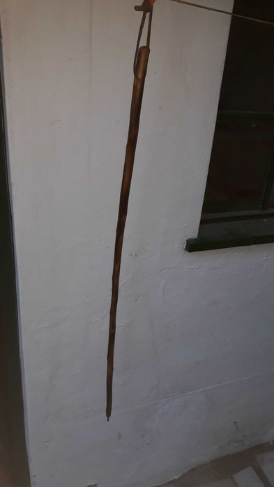 Paú de Caminhante de Colecção Privada #1