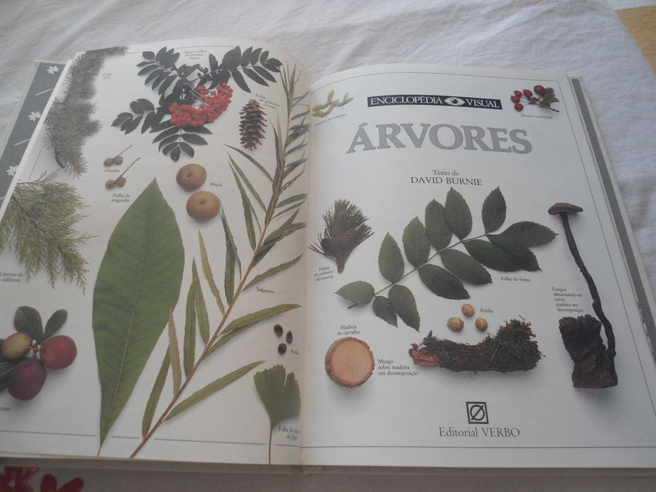 Enciclopédia Visual Verbo nº7 - Árvores