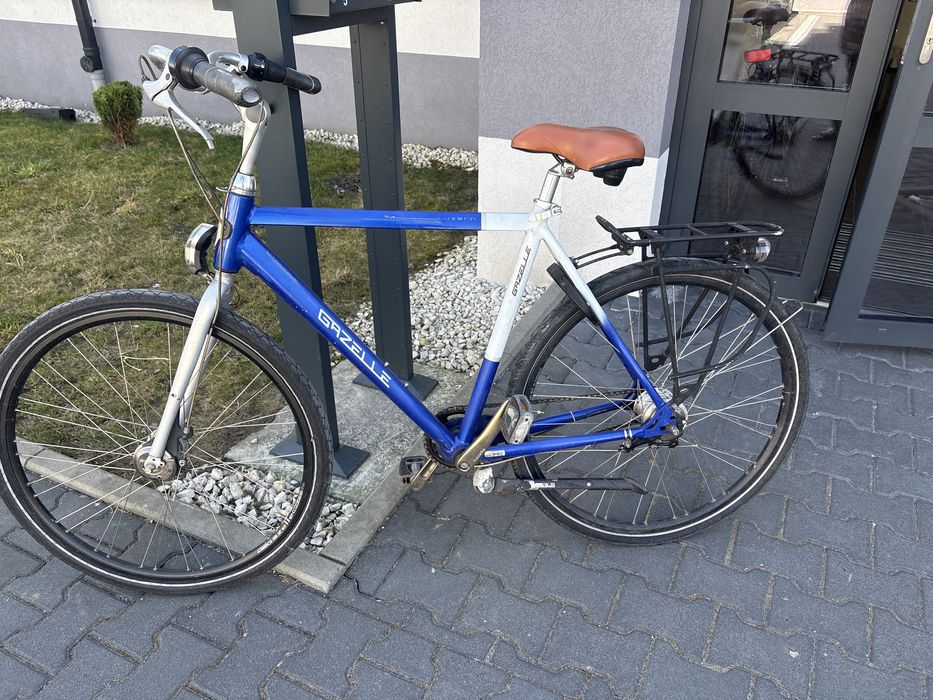 Rower gazelle luzern
