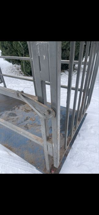 waga inwentarzowa dla bydła