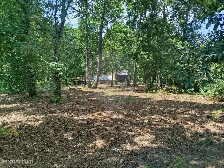 Terreno  para venda — Santa Cruz Da Trapa E São Cristóvão De Lafões, Viseu