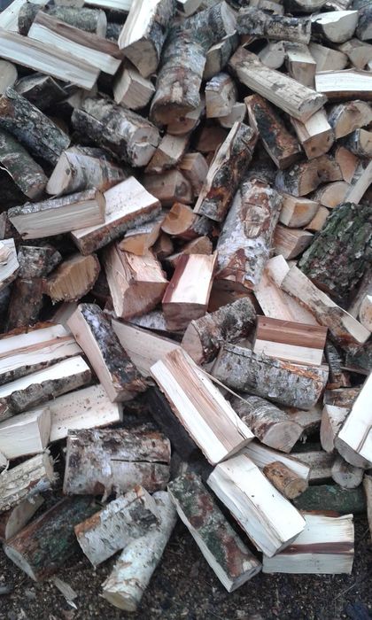 drewno drzewo Brzoza do kominka lub CO