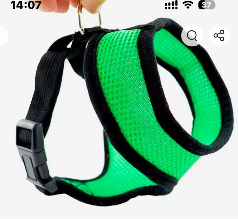 Ошийник для маленької собачки/кішки