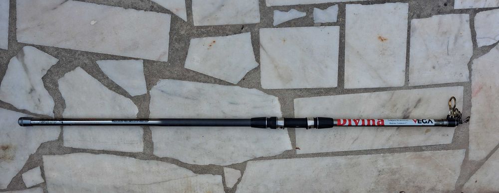 Cana de pesca Vega Divina Titânio 4,60m