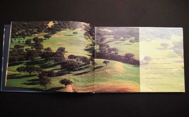 Francisco José Viegas - O Voo dos Anjos - Um Cântico Votivo