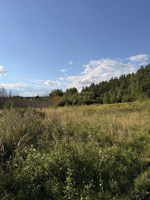 Działka budowlana 1 ha - Widok 3