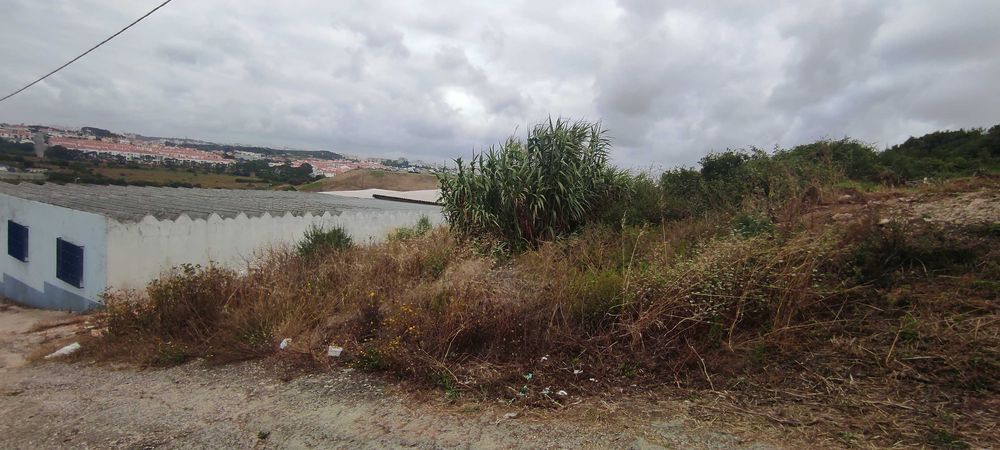 LIMPÓTRILHO-MULTISSERVIÇOS-Limpeza de terrenos, jardinagem...