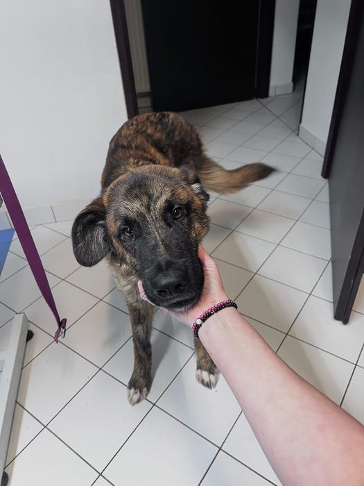 Neptunek szuka swojej chaty