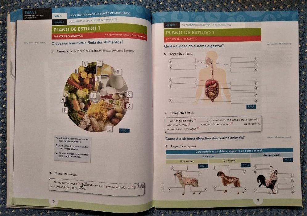 "Natura 6 Ciências da Natureza 6º Ano" Manual+Caderno Atividades+CDROM