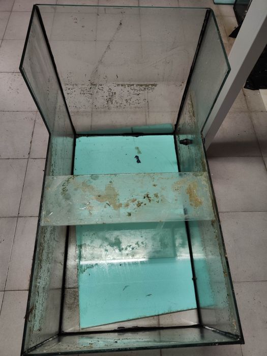 Sump 100x60 convertida em aquário