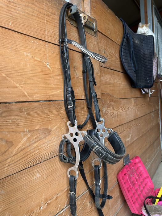 Hackamore rozmiar cob oglowie