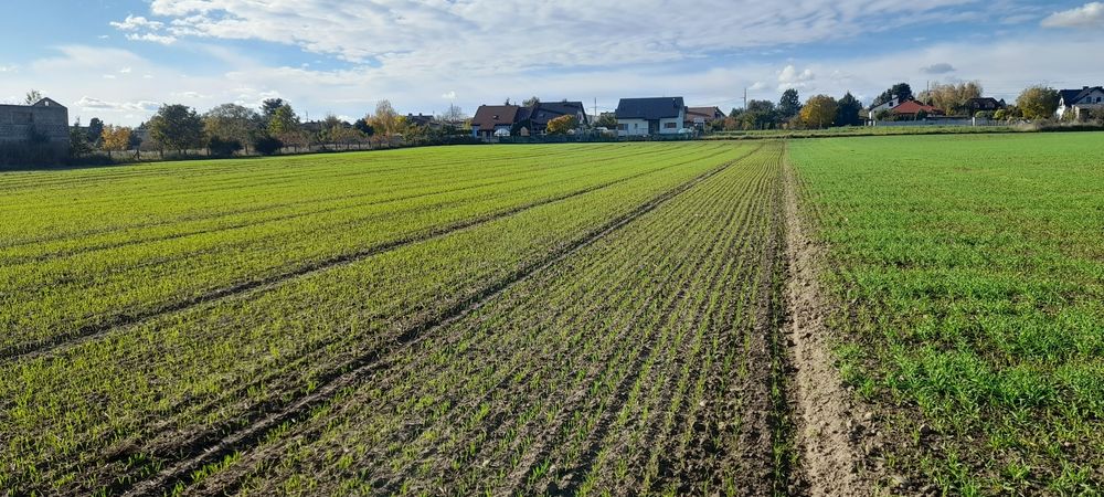 Działka budowlana z warunkami zabudowy