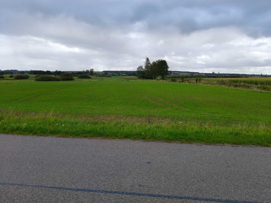 Działka z wydaną decyzją WZ NR 41/2025- Chomęciska Duże, gm. Stary Zamość / 11 600 m2