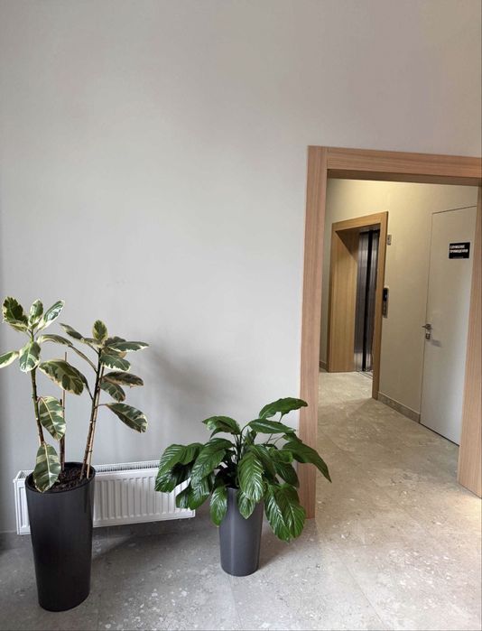 Commercial real estate at st. Kulikovo pole pl Oktyabrskoy revolyutsii pl (area 46,5 m²) - Atlanta.ua - photo 3