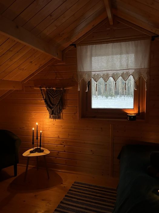 Domek drewniany z kominkiem, SAUNA
