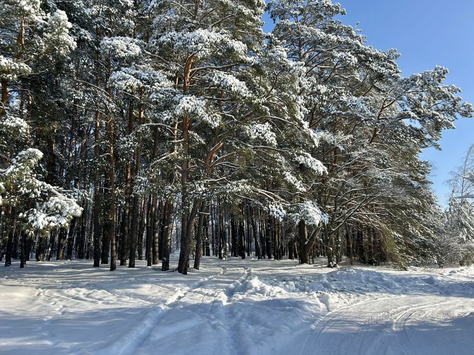 Продам будинок з озером біля лісу! 120 м2! Здвижівка!