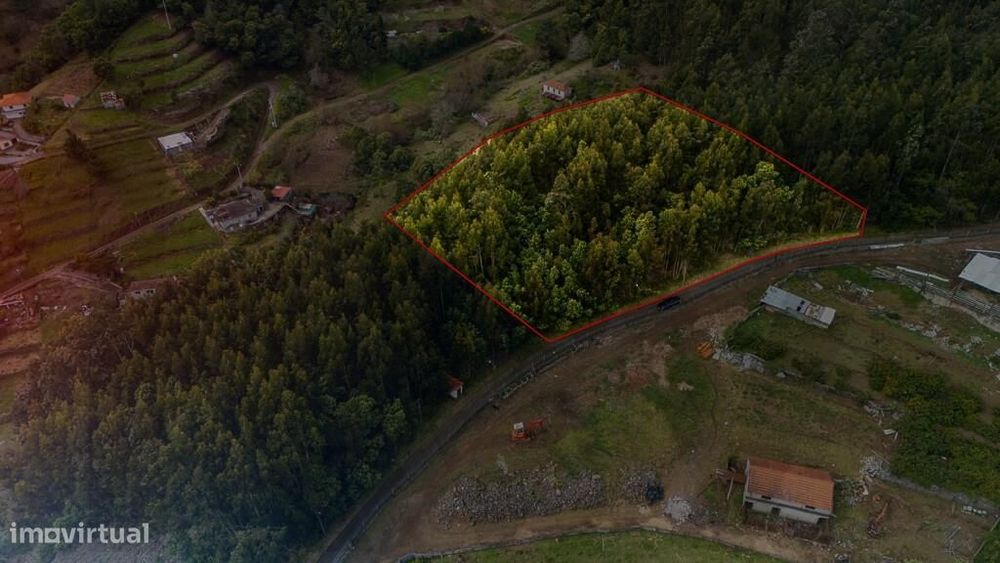 Agricultural Plot with Excellent Solar Exposure in Camacha, Intended for