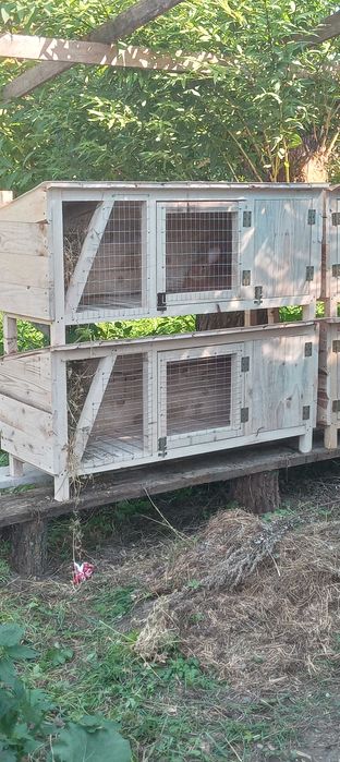 Клітка для кролів із маточником