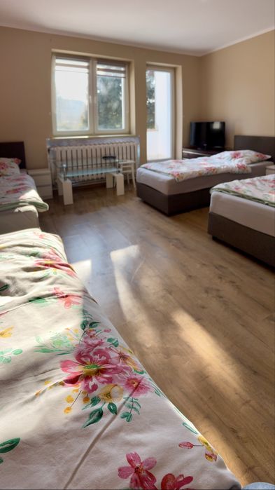 Noclegi, pokoje do wynajęcia - Witoszyn, Wymiarki, Iłowa