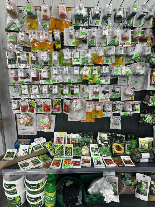 Насіння F1, syngenta, bejo ,sakata,E.ZADEN,томат, огірок , буряк …