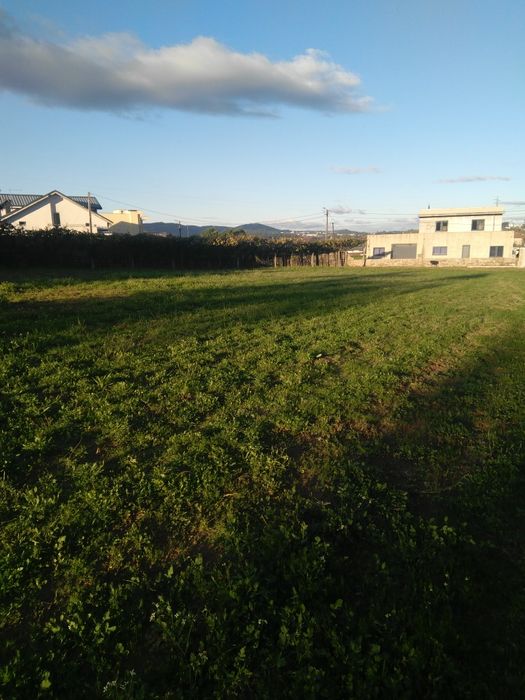 Terreno Bitarães-Paredes 2020m2 - Arrenda-se