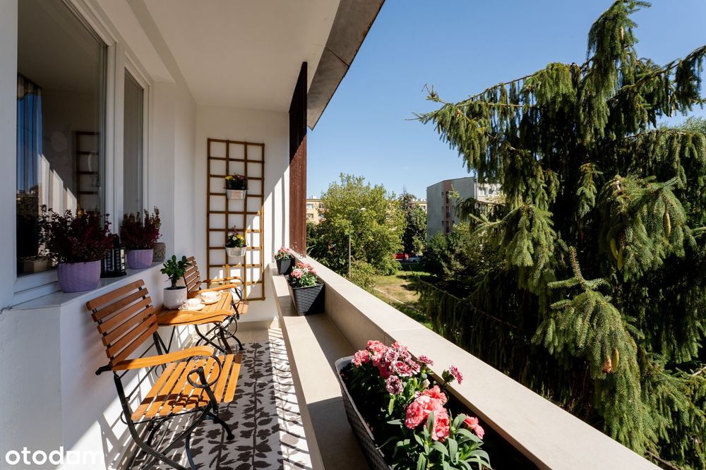 Bezpośrednio, 3 osobne pokoje, oddzielna kuchnia, balkon, Aleja Pokoju