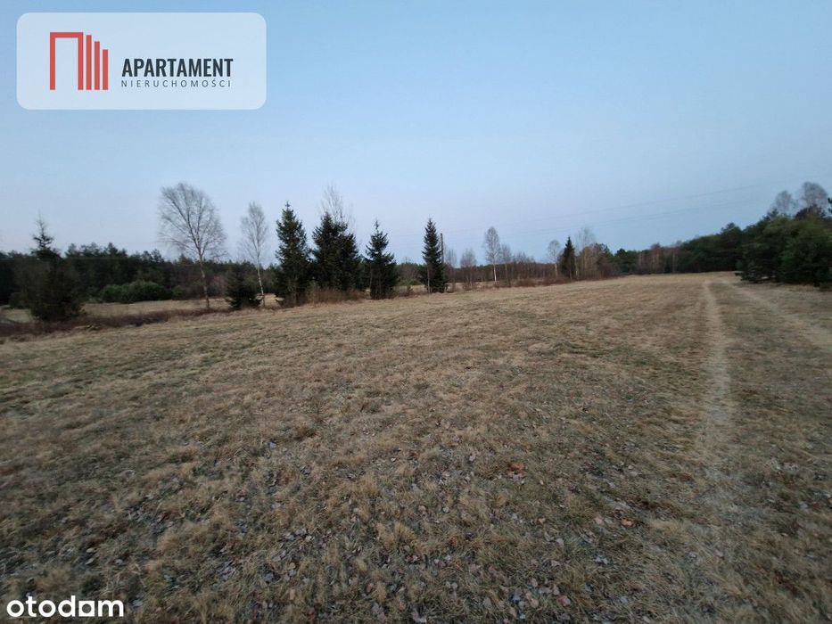 Spokojna okolica, blisko lasu!