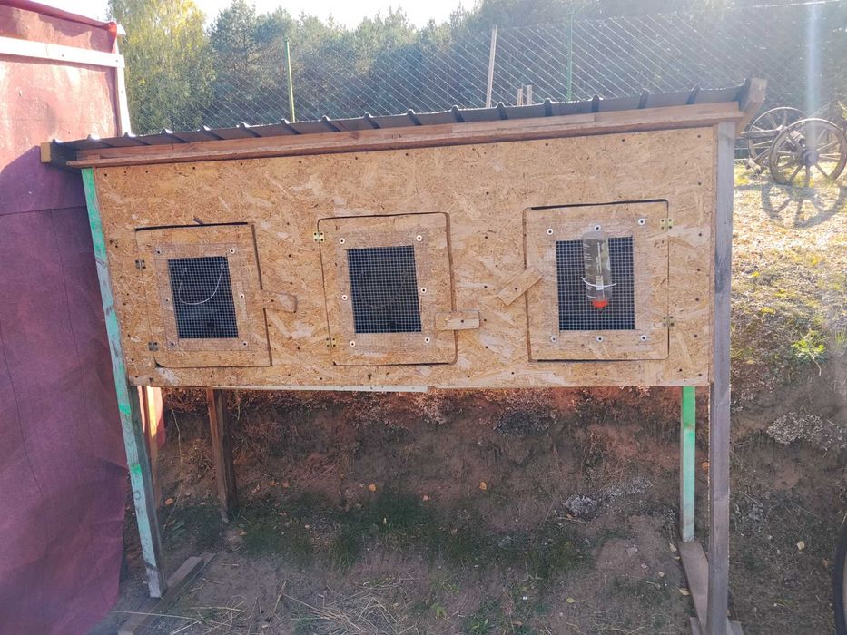 Klatka dla królików