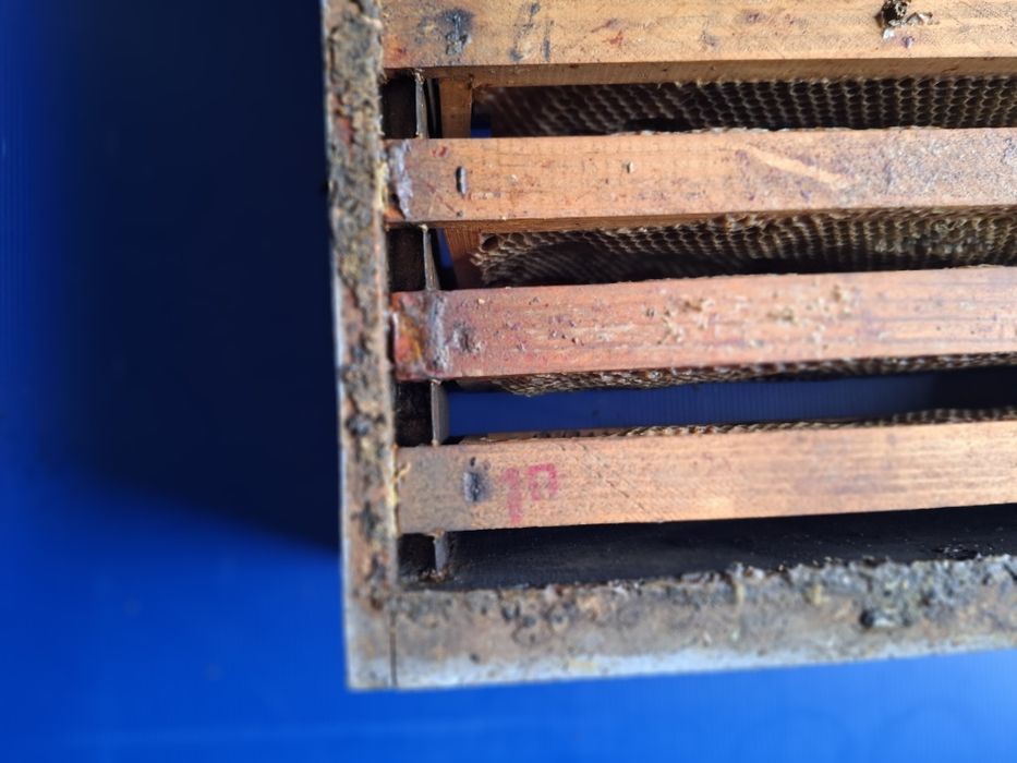 Meias alças abelhas