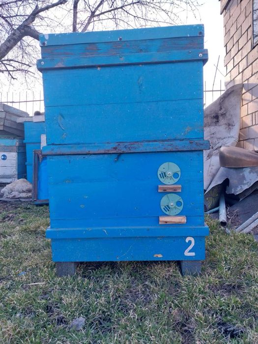Вулики двокорпусні