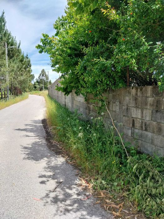 Terreno rústico com capacidade construtiva