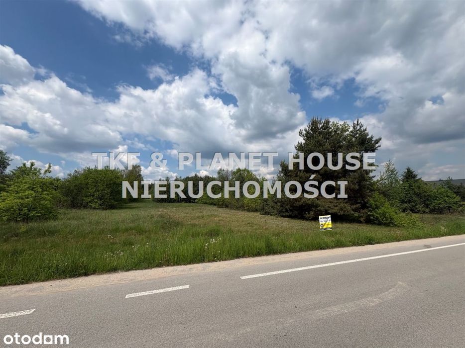 Działka Wz, Modrzew gm.Opoczno 2900 m² - Więcej