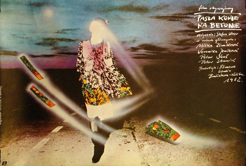 Stary plakat filmowy ( oryginał )