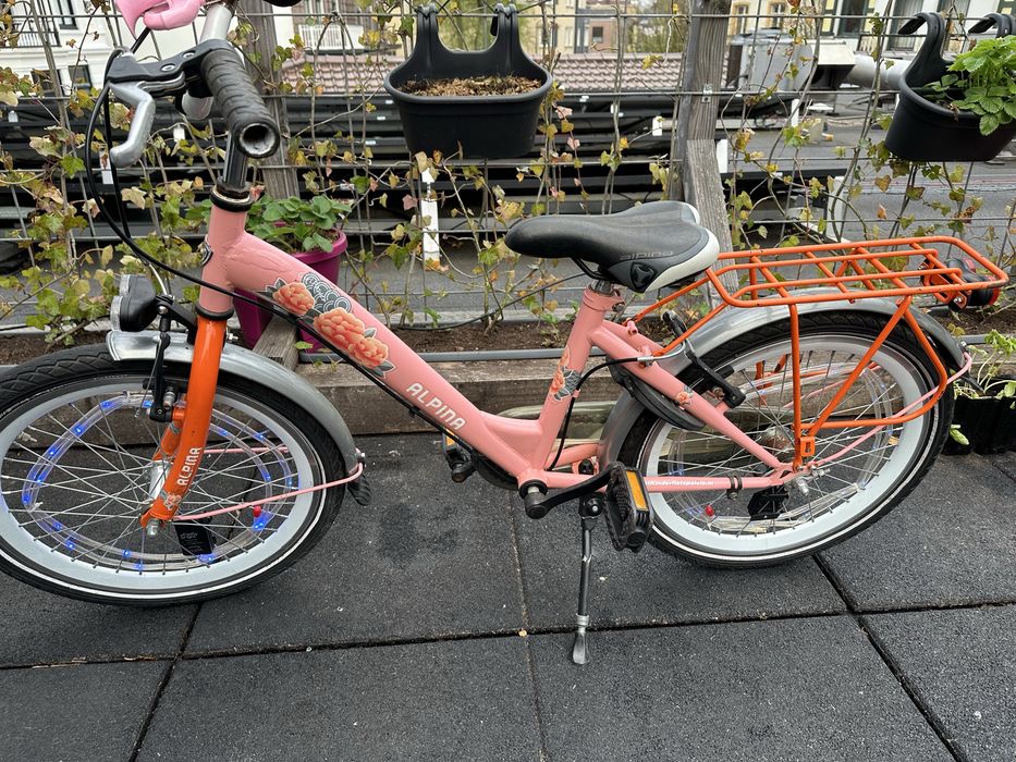 Rower Alpina dla dziewczynki 20”