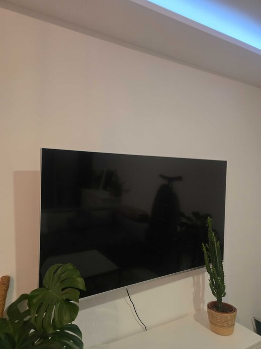 Dojlidy/zwierzęta akceptowane