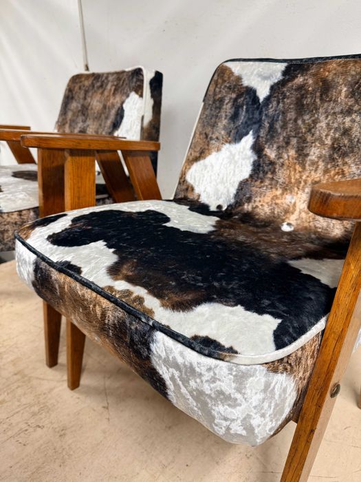 Chierowski 366 PRINT KROWA