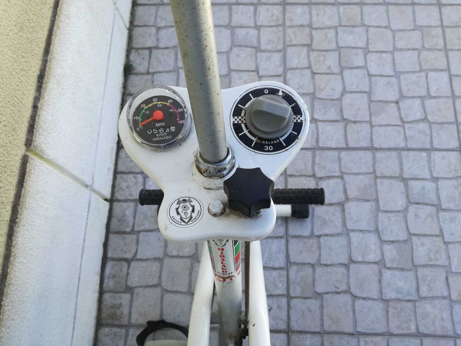 Bicicleta estática Miralago vintage