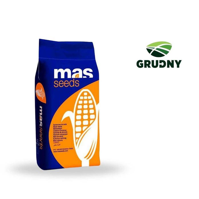 Kukurydza MAS 23.M 50 tys. nasion MAS 306 P 50 tys. nasion