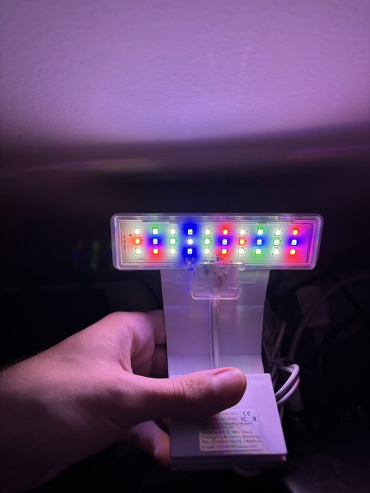 Luz para aquario para aquario plantado