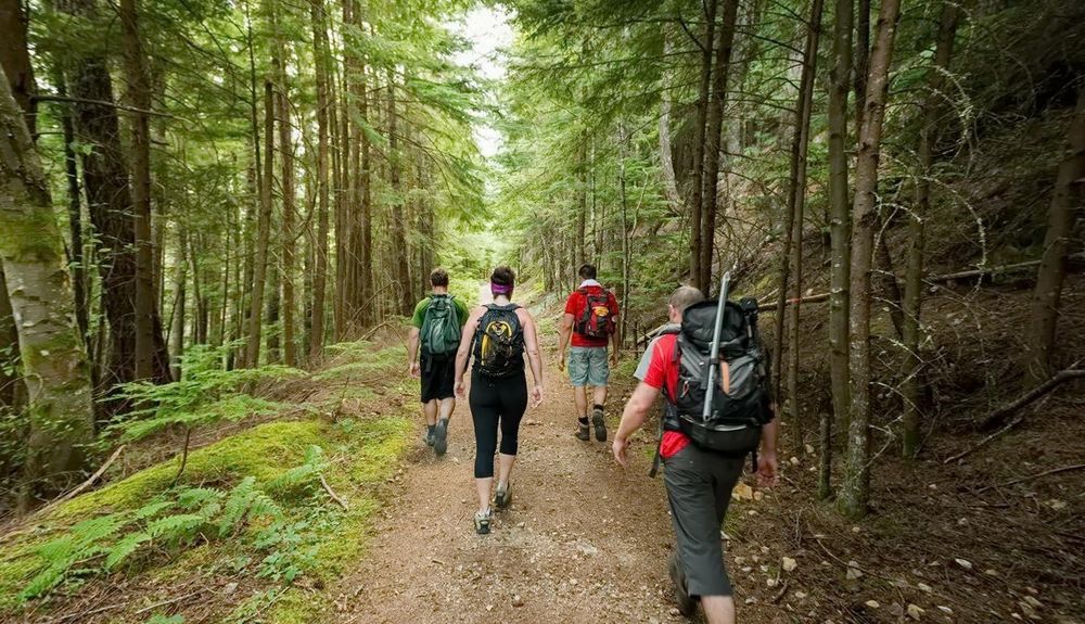 Піший похід (прогулянка) вихідного дня