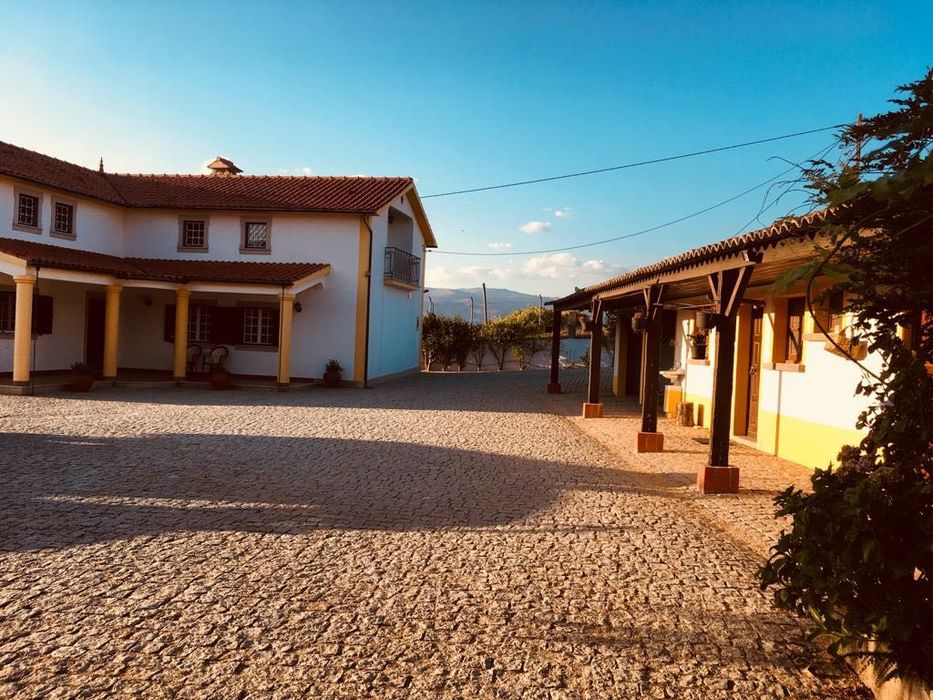 Quinta 250m2 com 1 hectare para venda no centro do Fundão